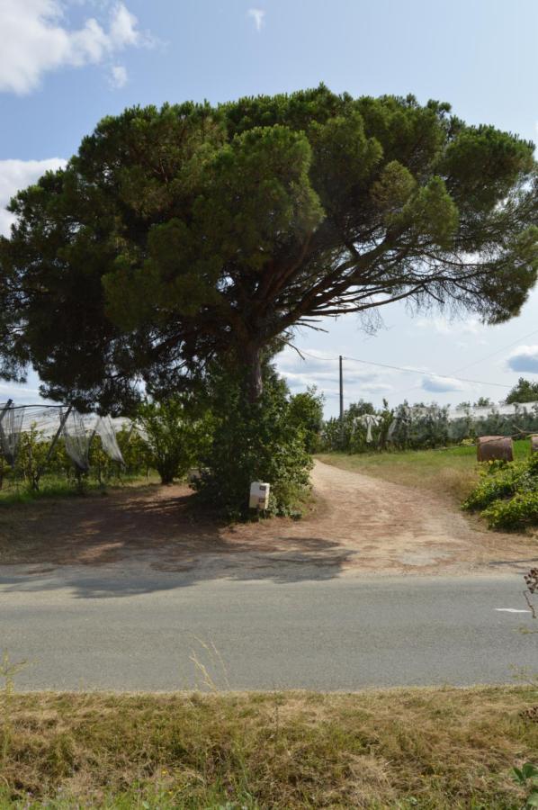 Gite Rural De Caractere Guérin 外观 照片